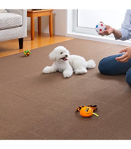 Amazon.co.jp: コストコ レック LEC 吸着タイルマット16枚セット45cm x